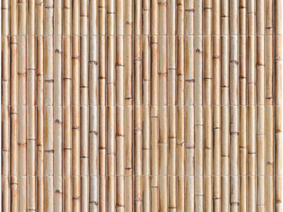 Image of BAMBOO SERIES - 3