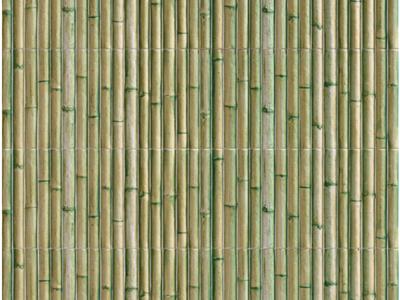 Image of BAMBOO SERIES - 5